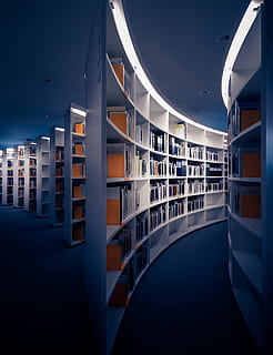 assorted-title book lot on shelf, library, self, light, glow HD wallpaper