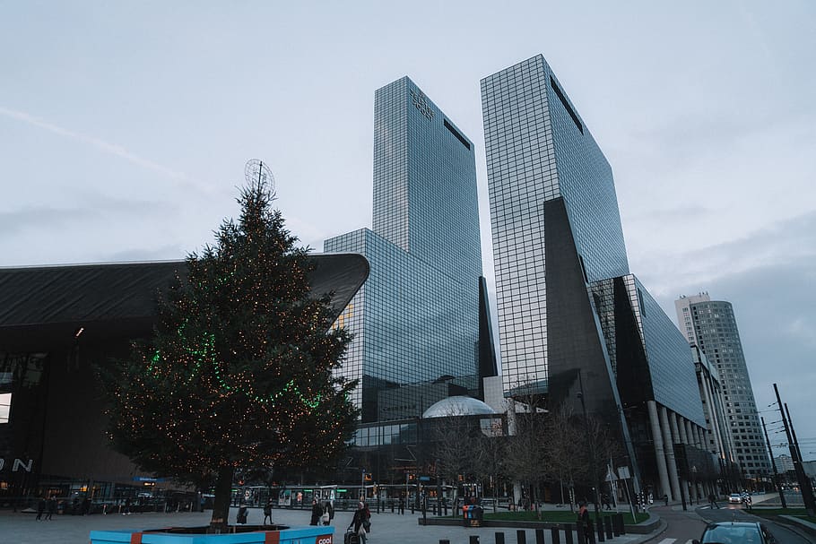christmas, tree, rotterdam, central, station, buildings, corporate HD wallpaper