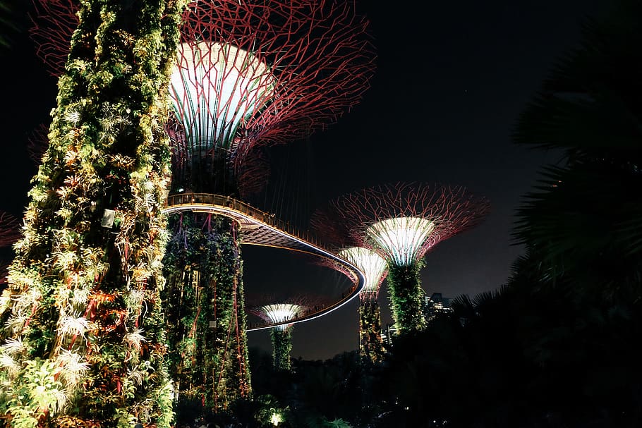 Singapore landmark, tree, plant, nature, outdoors, ornament, night HD wallpaper