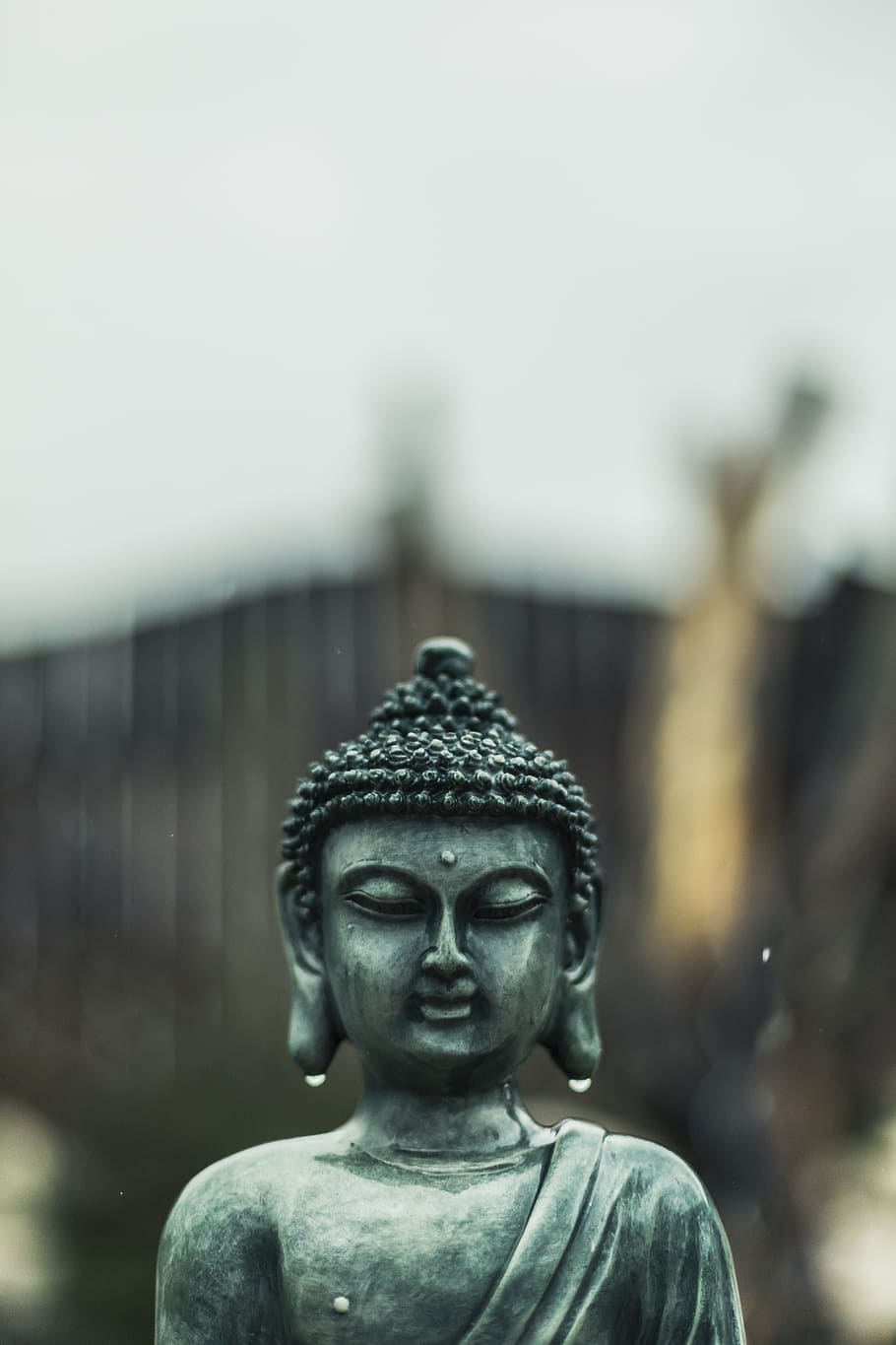 rain, bokeh, buddha, sculpture, statue, human representation HD wallpaper