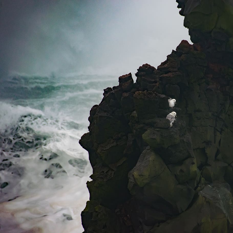 Black Rock Formation, beach, daylight, high angle shot, landscape HD wallpaper