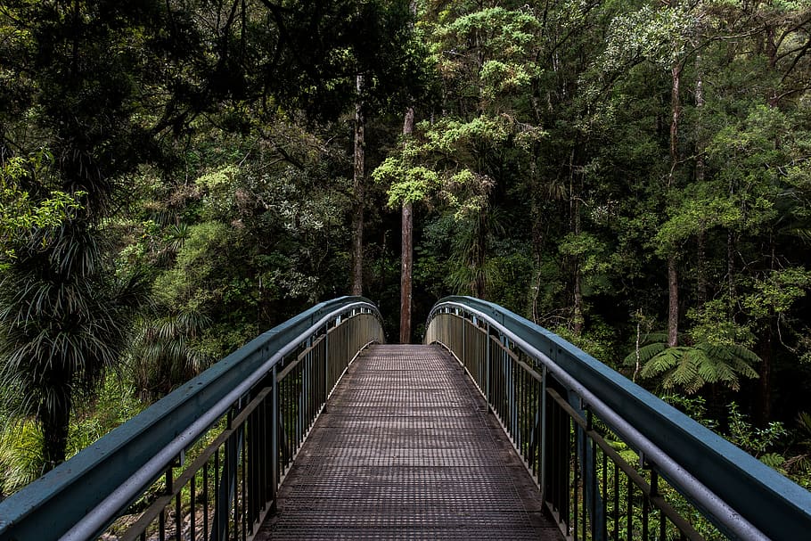 bridge, railings, forest, structure, metal, architecture, walk HD wallpaper