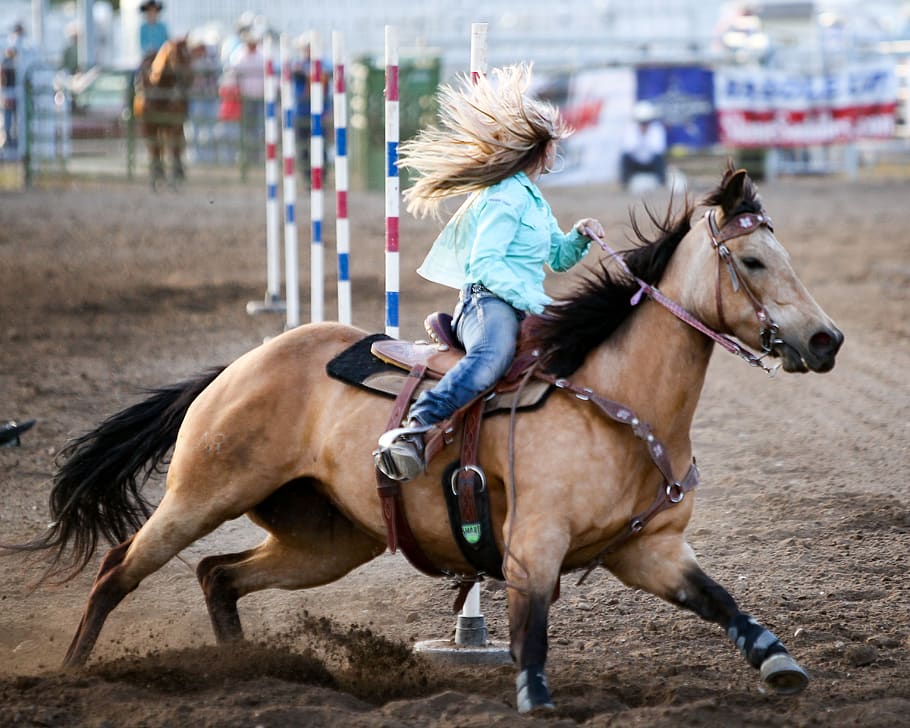 HD wallpaper rodeo horse competition animal cowboy western cowgirl   Wallpaper Flare