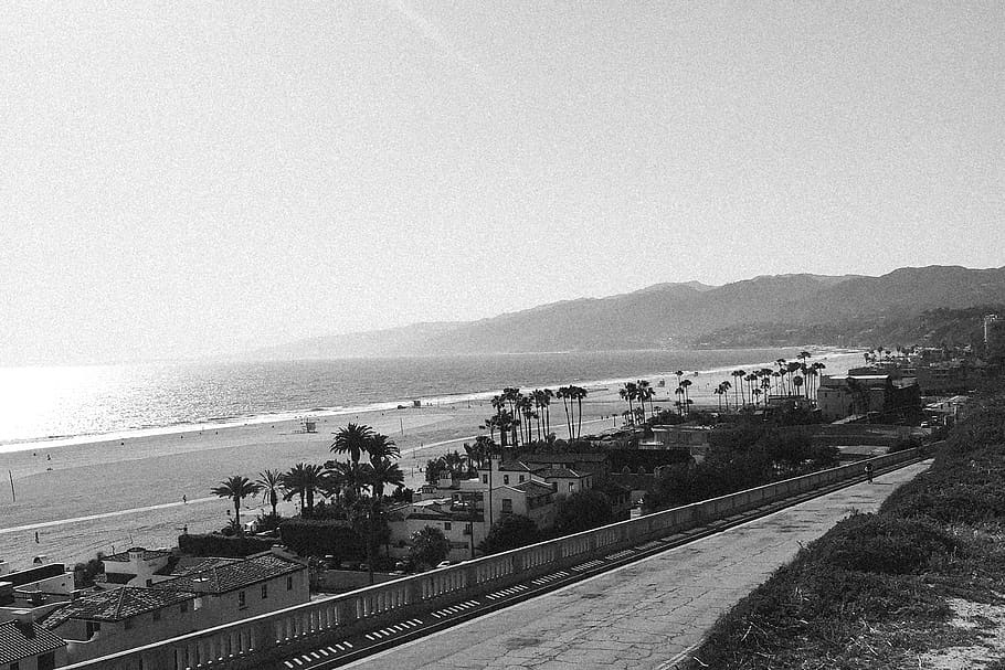 beach, boardwalk, sand, ocean, sea, shore, palm trees, houses HD wallpaper