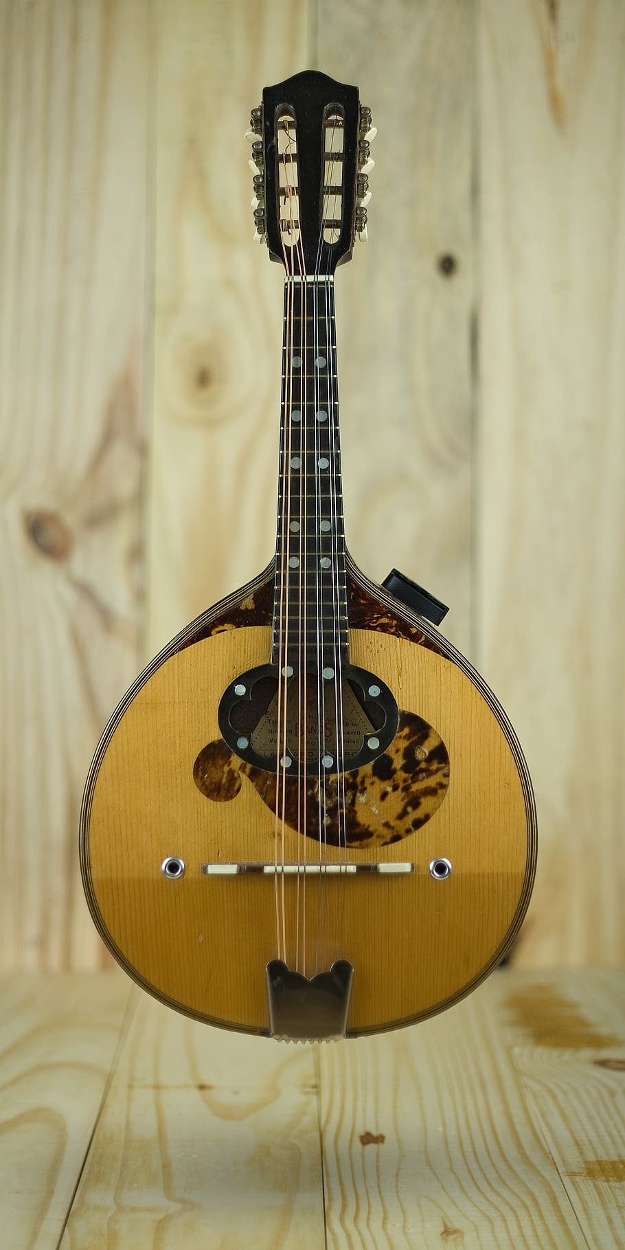 Mandolins | Donner music- UK