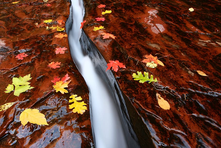 running water scenery, zion national park, united states, wet HD wallpaper