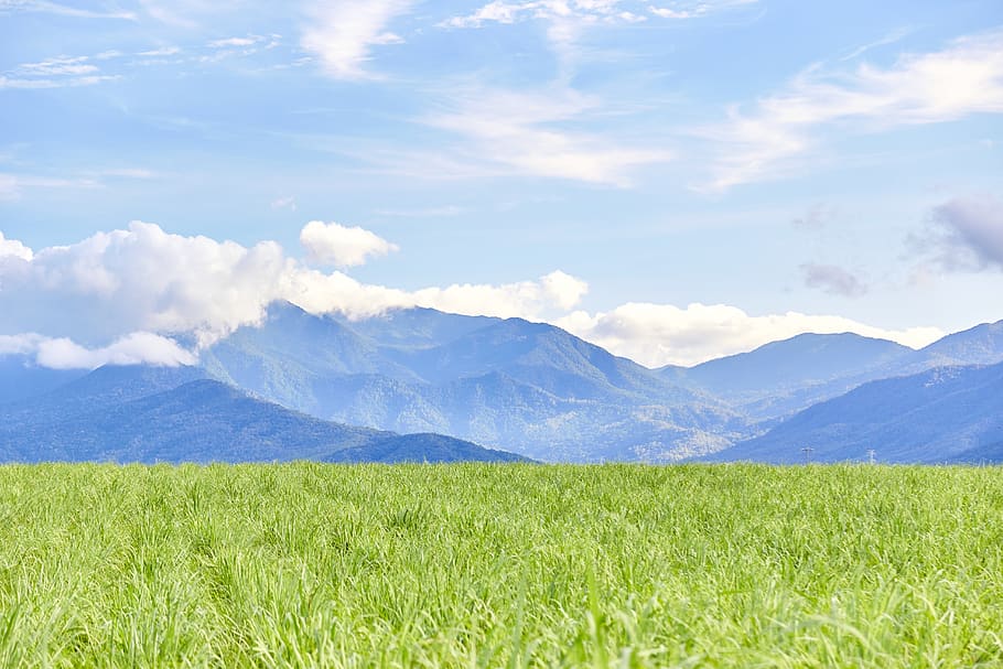 green grass field and mountain at distance, grassland, outdoors, HD wallpaper