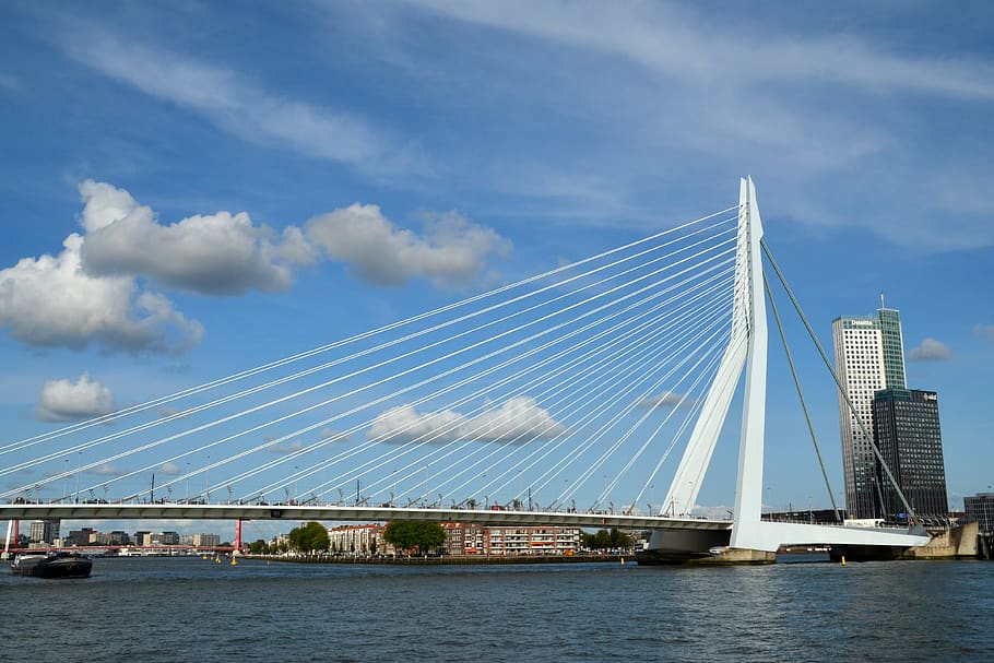 bridge, architecture, water, city, rotterdam, transportation, HD wallpaper