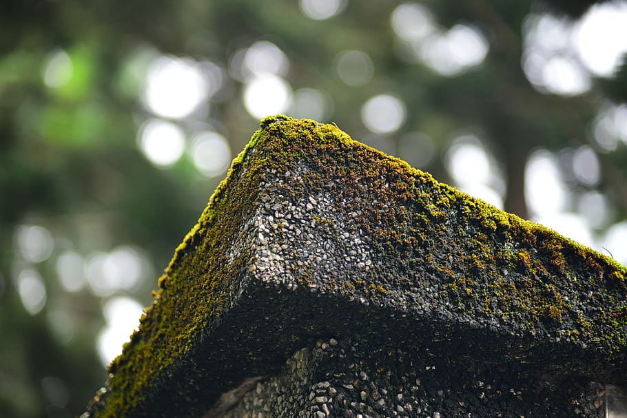 moss, stone, brick, mountain, focus on foreground, textured HD wallpaper