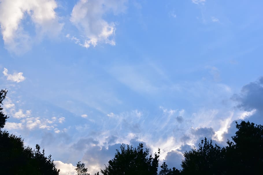 sky, cloud clouds, rays, summer, light, landscape, tree, morning HD wallpaper