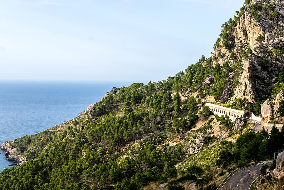 majorca, roche, nature, landscape, tree, sea, spain, scenics - nature HD wallpaper