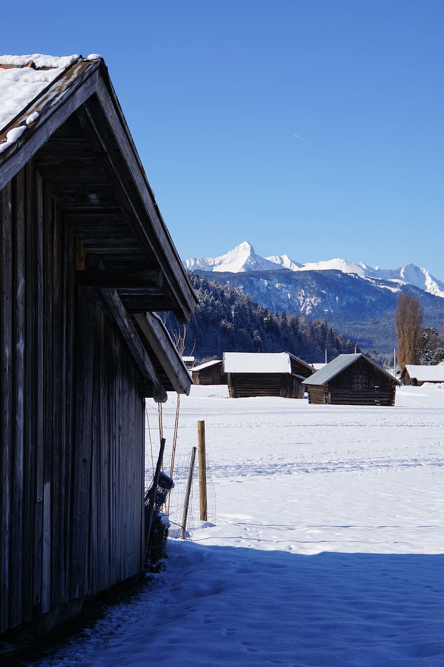 winter, wintry, snow, nature, cold, landscape, snowy, winter magic HD wallpaper