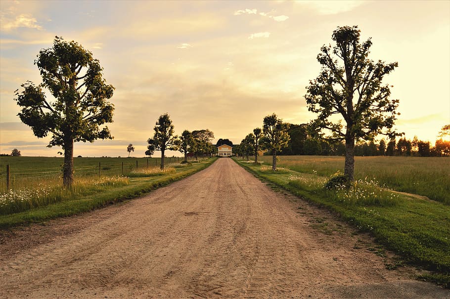 sweden, tree, trees, road, sunset, house, nature, grass, green HD wallpaper