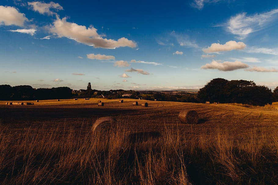 farm, fields, hay, rolls, grass, country, sky, clouds, sunshine HD wallpaper