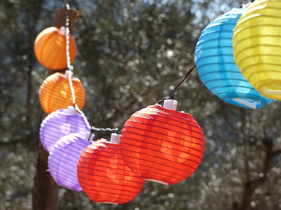 lanterns, lights, berbena, colorful, garden, decoration, hanging HD wallpaper