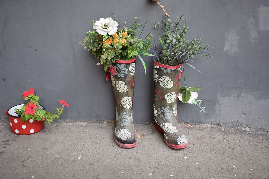 serbia, belgrade, flower, flowering plant, shoe, nature, flower arrangement HD wallpaper
