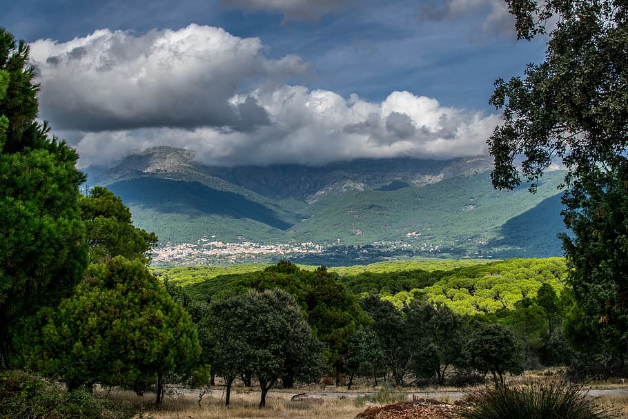 hiking, nature, path, landscape, panorama, tree, plant, cloud - sky HD wallpaper