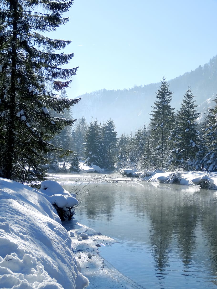 winter, snow, nature, landscape, river, water, wintry, trees HD wallpaper
