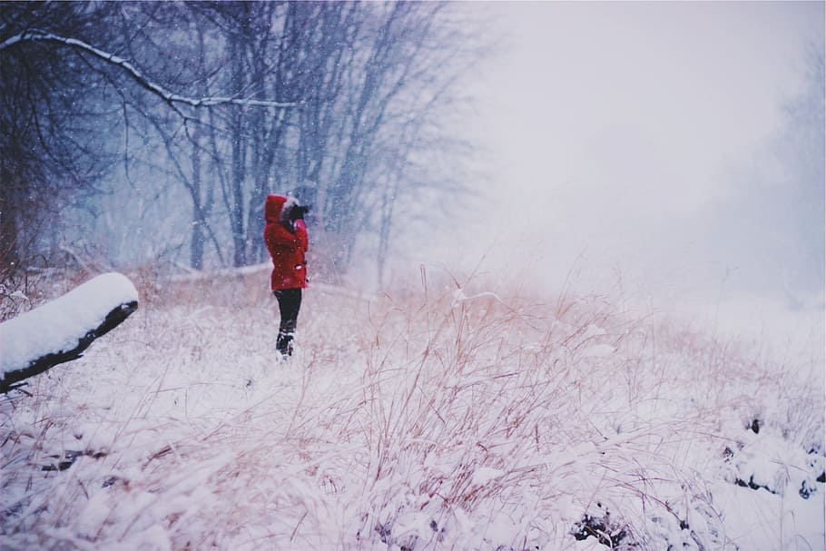 winter, snow, cold, blizzard, jacket, hood, mitts, boots, trees HD wallpaper