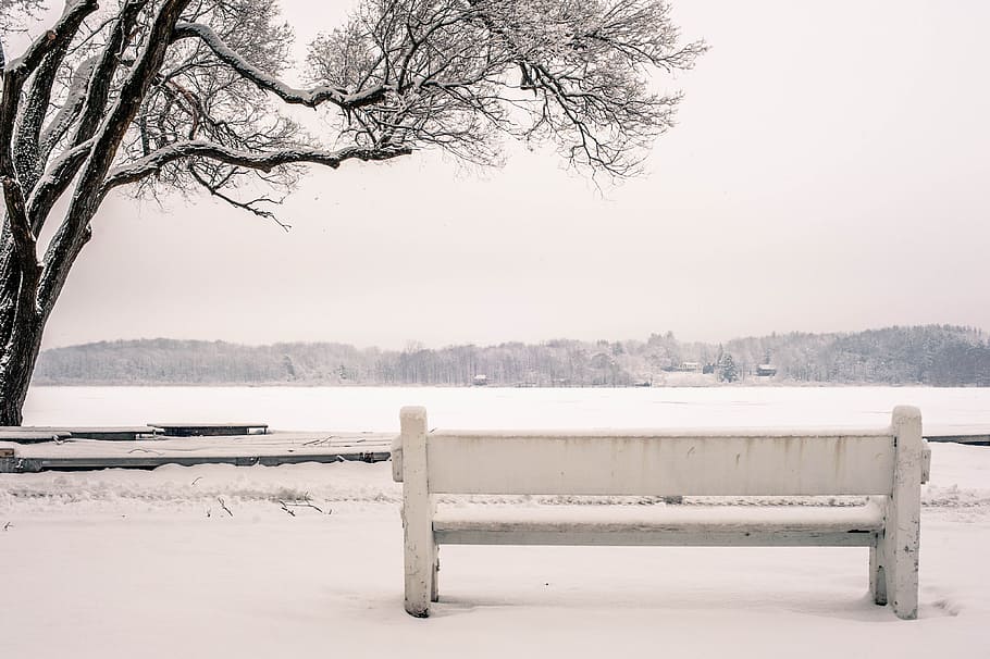 snow, bench, park, river, lake, water, frozen, ice, tree, cold HD wallpaper