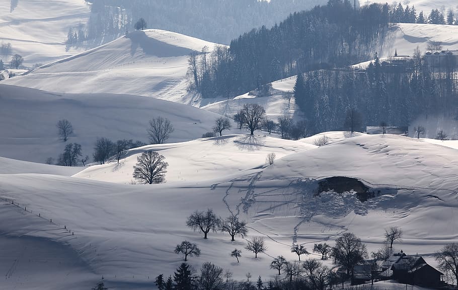 snowy field during daytime, mountain, nature, outdoors, tree HD wallpaper