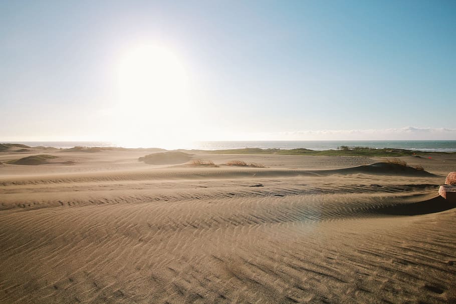 Gray Sand Field, arid, barren, beach, desert, dry, dune, horizon HD wallpaper