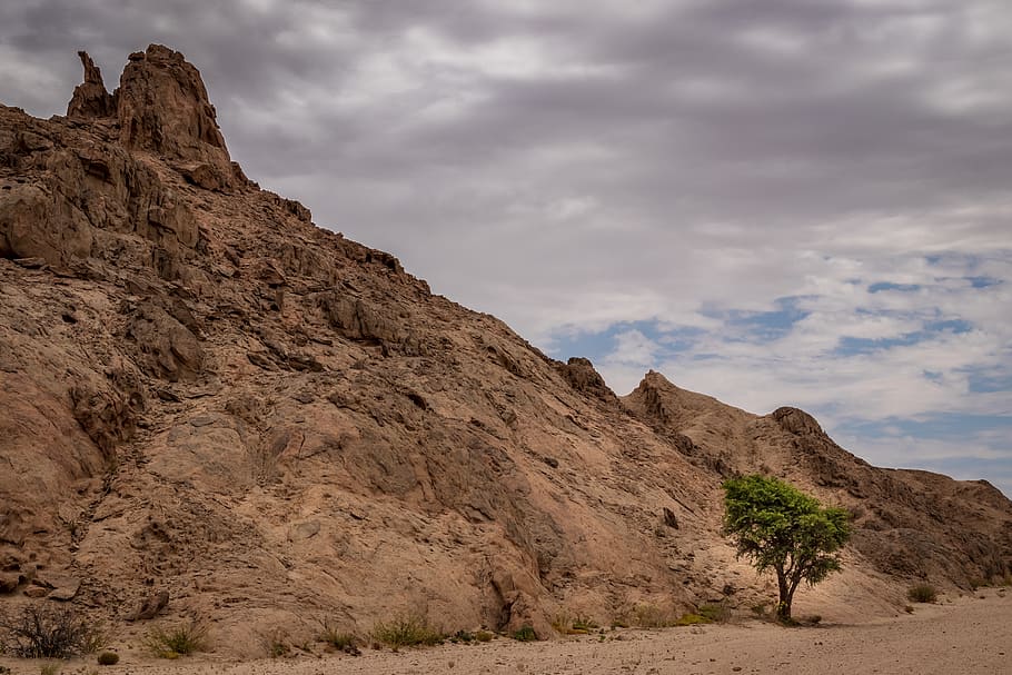 nature, outdoors, ground, mesa, soil, grassland, field, tree HD wallpaper