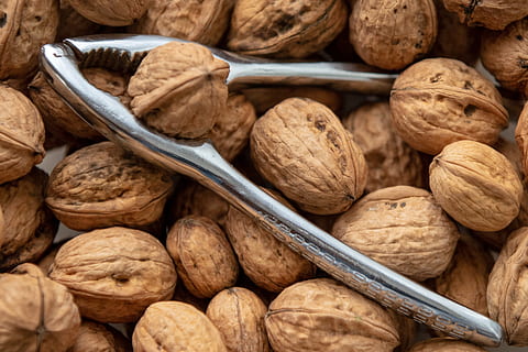 nutcracker, nuts, walnut, food, eat, walnuts, healthy, brown HD wallpaper