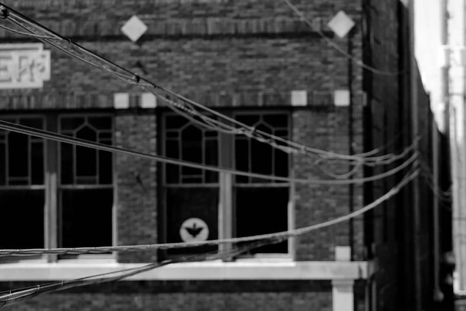 city, view, angle, blackandwhite, black and white, powerline HD wallpaper