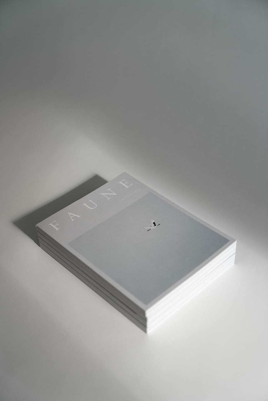 Faune cards on desk, studio shot, indoors, no people, single object HD wallpaper