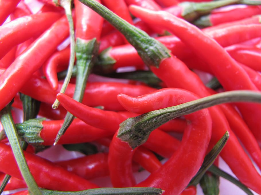 spices, vegetable, red, food, food and drink, pepper, freshness HD wallpaper