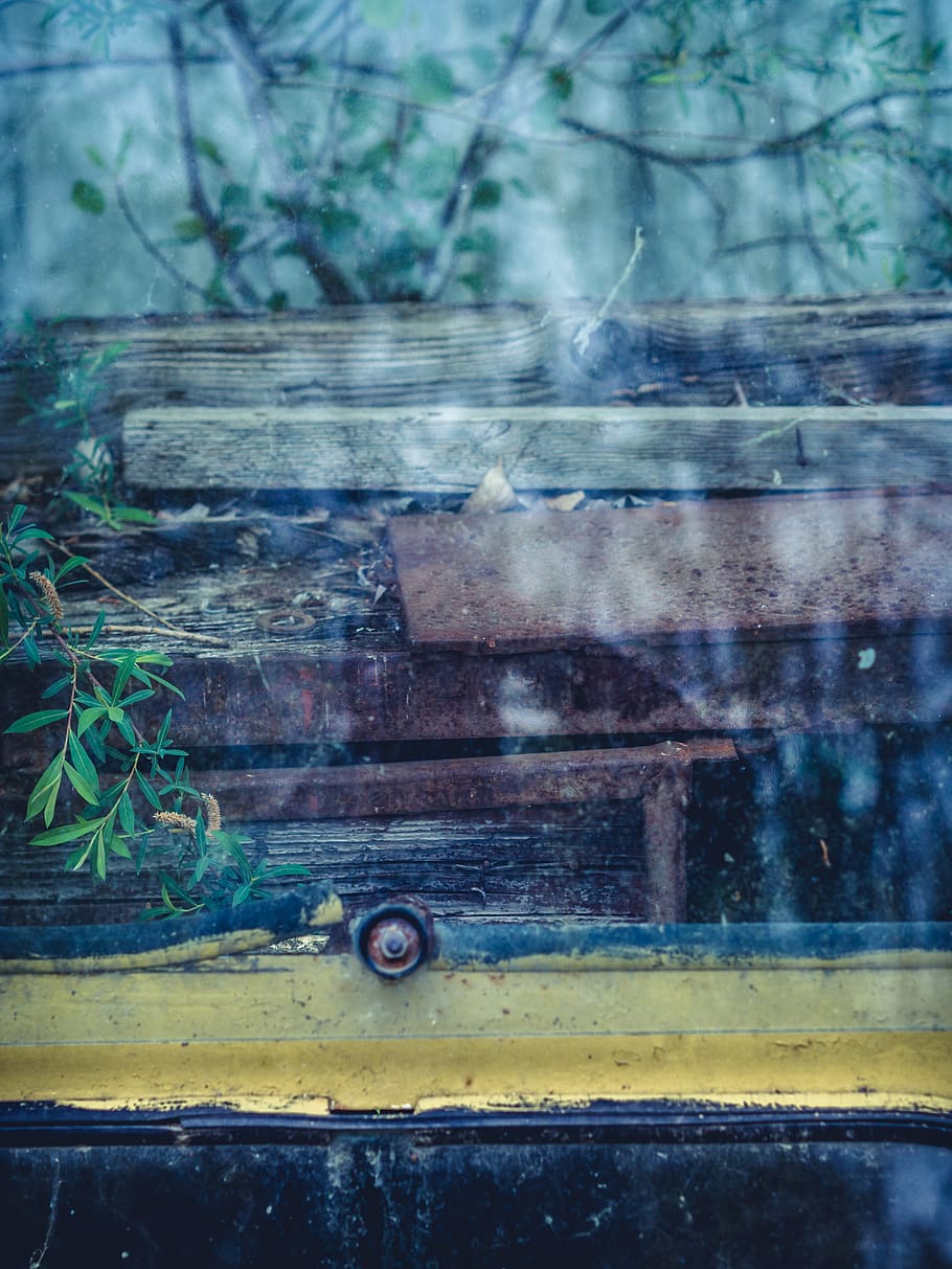 reflection, window, branches, faded, no people, day, nature HD wallpaper