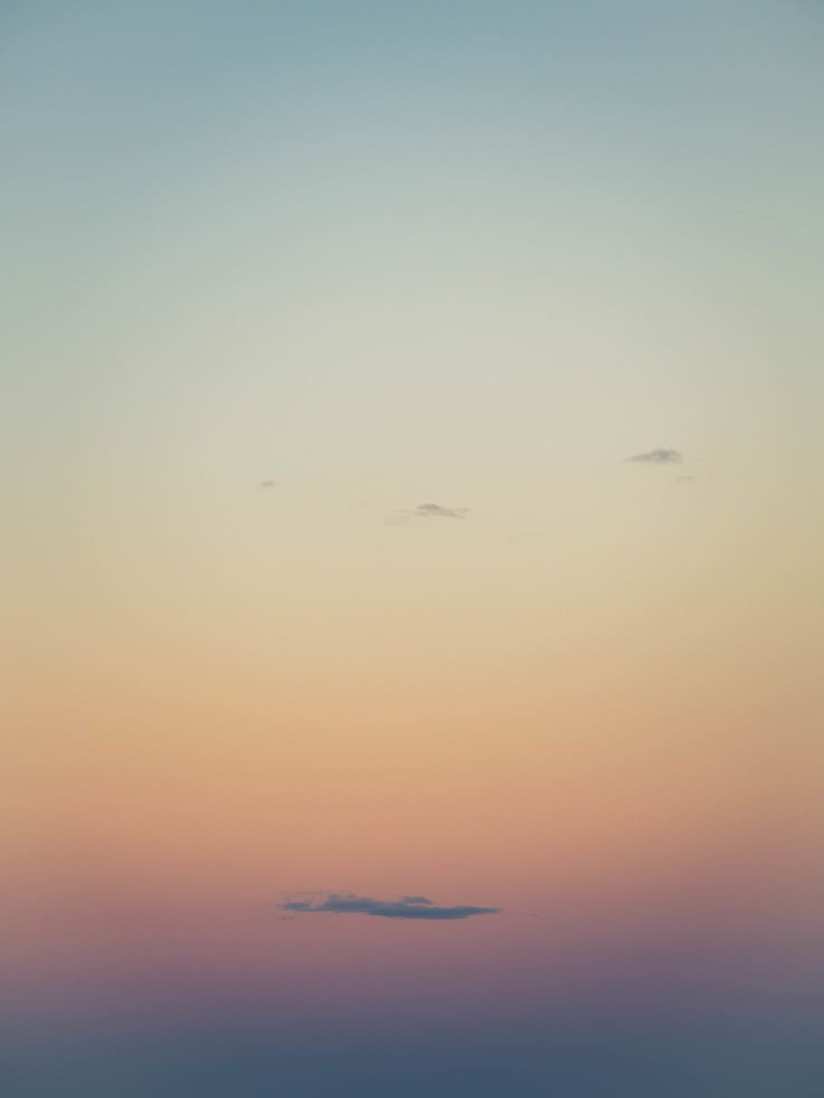 sky, sunset, scenics - nature, vertebrate, beauty in nature HD wallpaper
