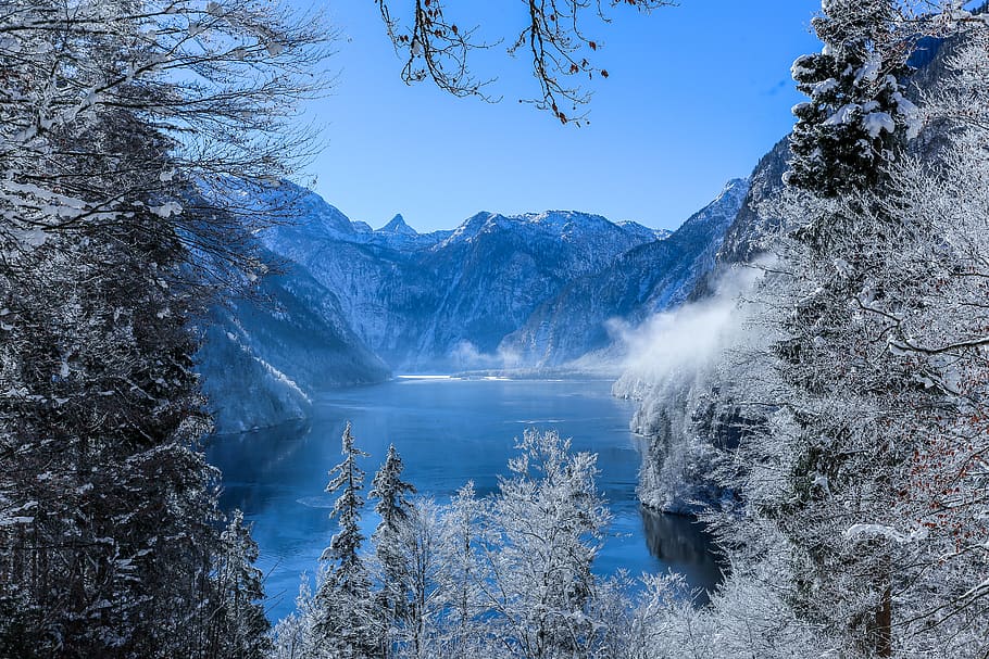 Photography of Mountain Range During Winter, branches, cold, environment HD wallpaper
