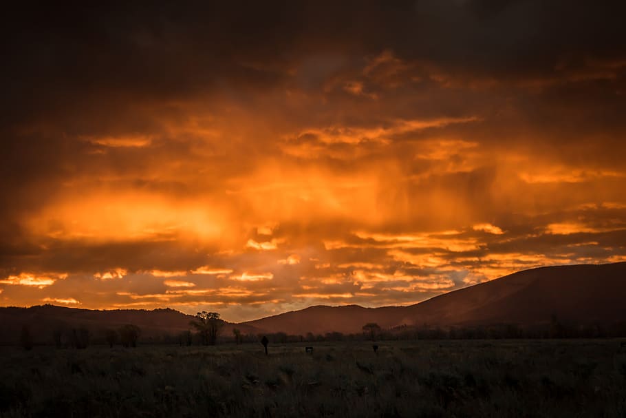 sunset over the horizon, sunrise, cloud, sunlight, sunray, sunsky HD wallpaper
