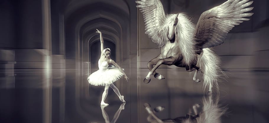 dance, ballet, dancer, horse, wing, hall, elegant, girl, beauty, HD wallpaper