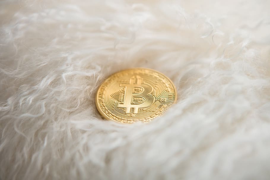 canada, toronto, bitcoin, btc, cryptocurrency, sheep, indoors HD wallpaper