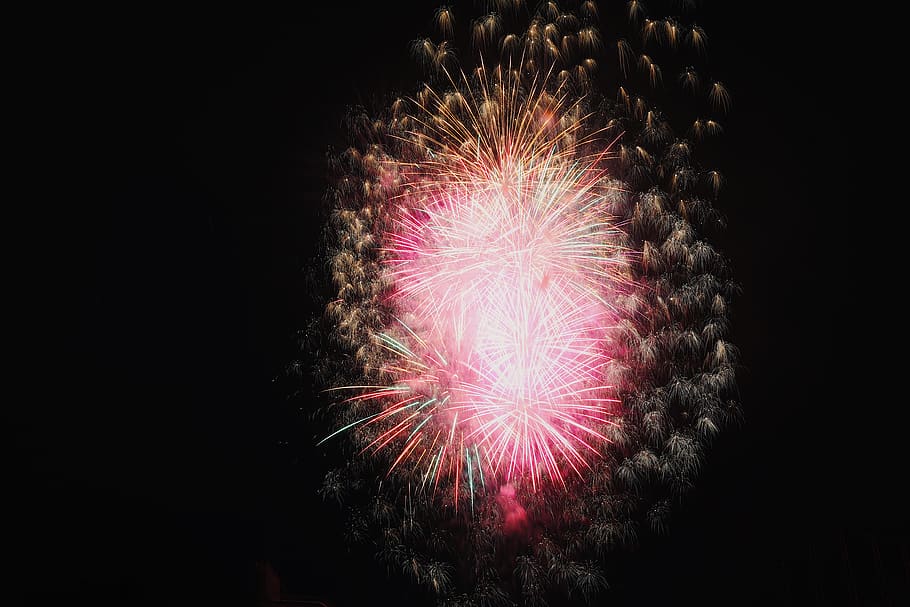 fireworks display at night, pink, hanabi, tokyo, japan, celebration, HD wallpaper