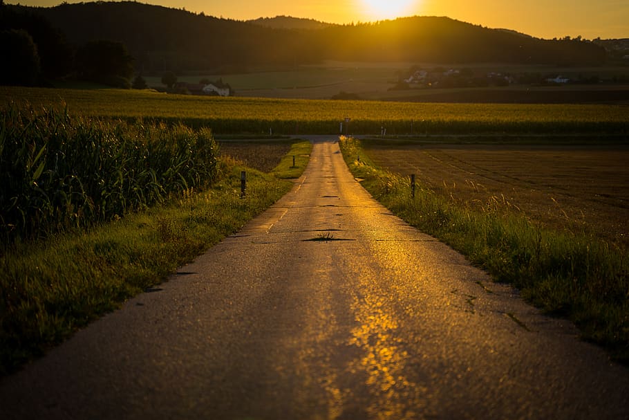 away, road, straight, sunset, sky, evening sun, landscape, asphalt HD wallpaper