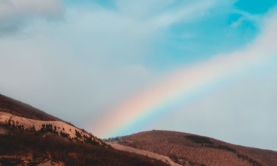 mountain and trees, sky, scenics - nature, beauty in nature, rainbow HD wallpaper