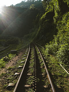 train track beside green forest, railway, transportation, bridge HD wallpaper