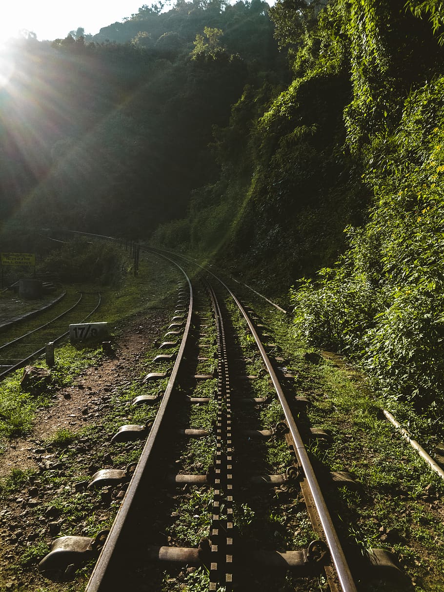 train track beside green forest, railway, transportation, bridge, HD wallpaper