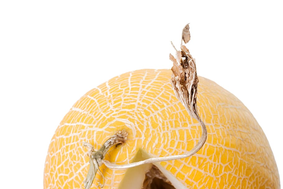 close-up, closeup, diet, dieting, eating, food, fresh, freshness HD wallpaper