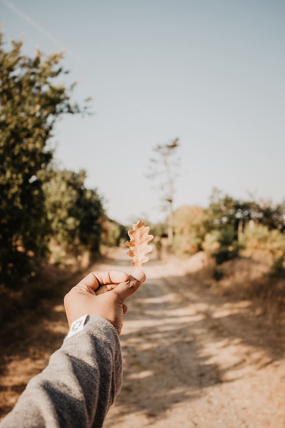 person holding brown leaf, road, dirt road, gravel, flensburg HD wallpaper
