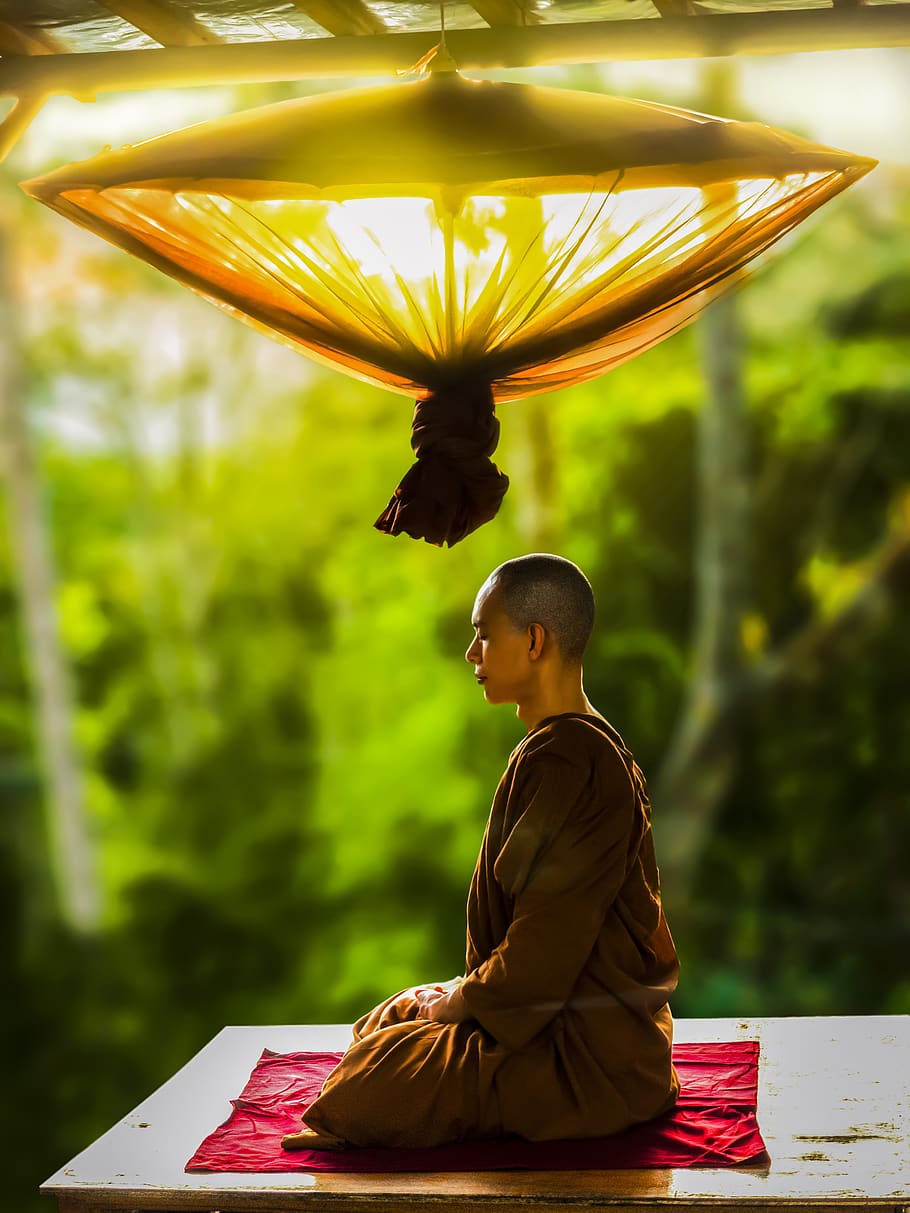 Monk Meditating, adult, Asian, bald, Buddhism, concentration