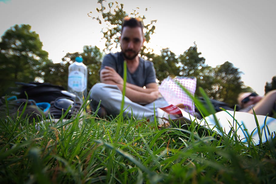 netherlands, amsterdam, sky, grass, park, focus, closeup, plant HD wallpaper