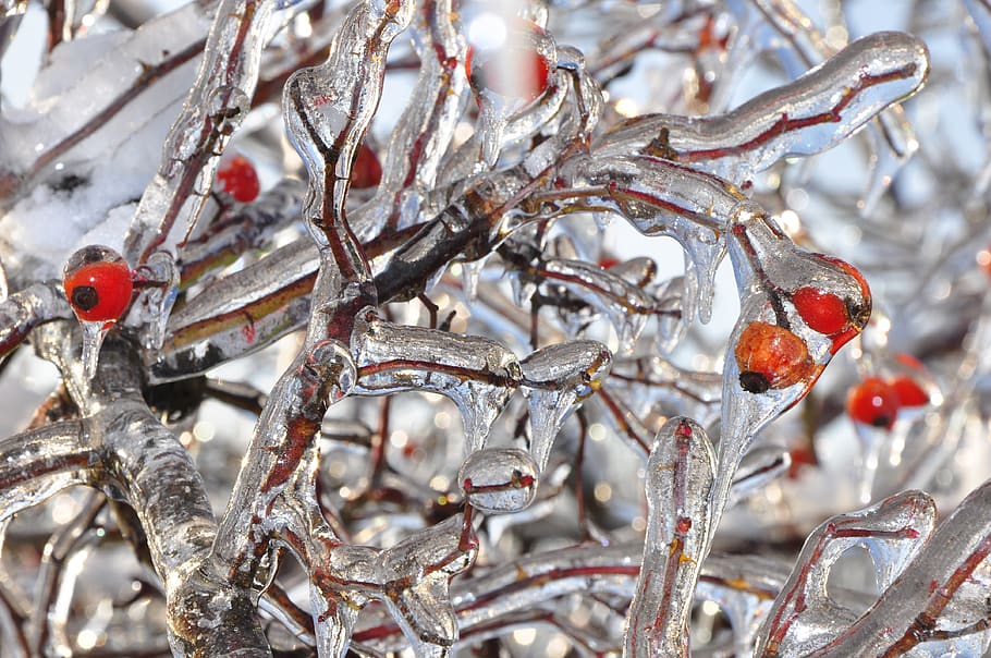 winter, ice, będzin, cold, snow, frost, frozen, landscape HD wallpaper