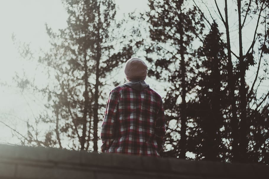 trees, forest, abandoned, exploration, beanie, winter, moody HD wallpaper