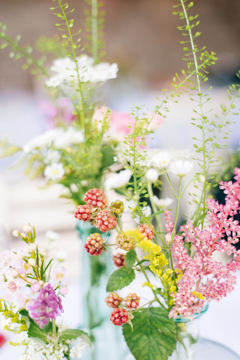 white-petaled flowers, plant, blossom, spring, invertebrate, hornet HD wallpaper