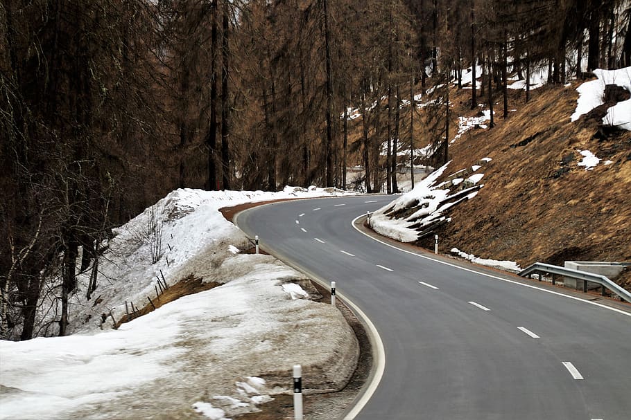 forest, highway, snow, winter, at the court of, no one, travel HD wallpaper